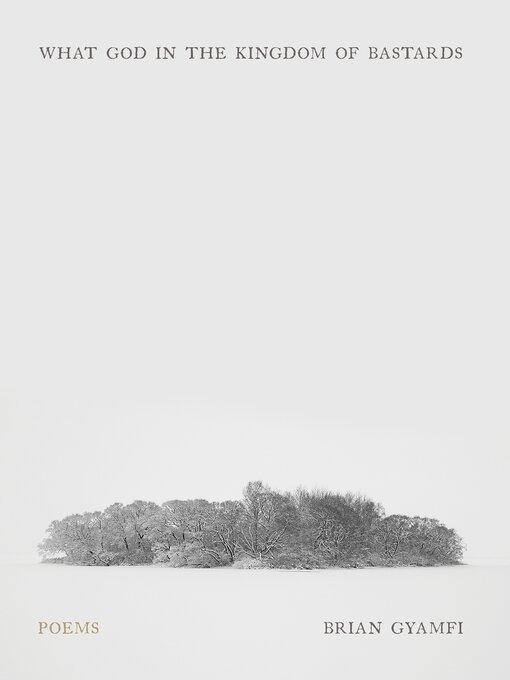 Title details for What God in the Kingdom of Bastards by Brian Gyamfi - Wait list